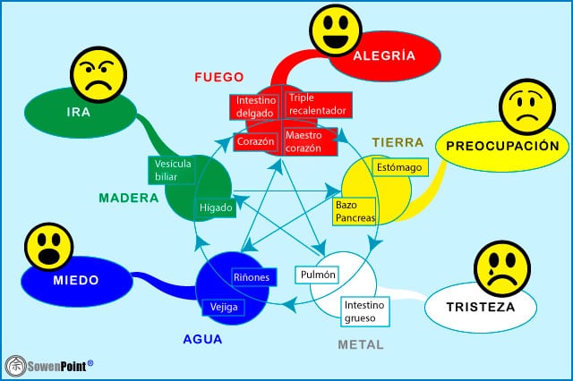 Cómo decidir qué elementos sentimentales conservar